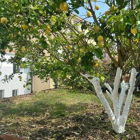 Casa Familiar Con Barbacoa Finisterre