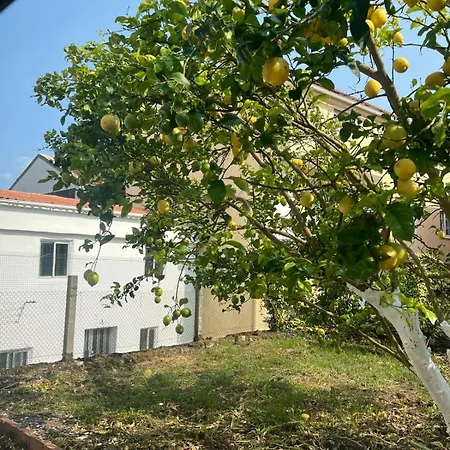 Casa Familiar Con Barbacoa
