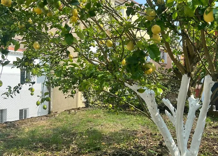 Casa Familiar Con Barbacoa Финистерре
