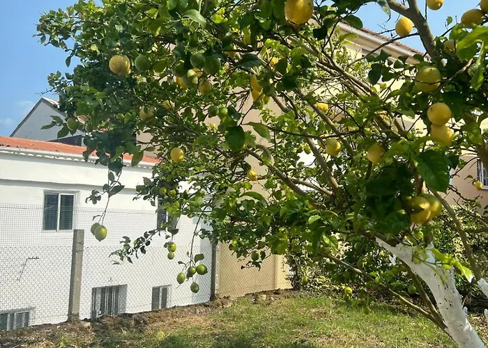 Casa Familiar Con Barbacoa